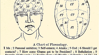 Phrenological Chart May Help Us Better Understand Sarah Palin's Brain
